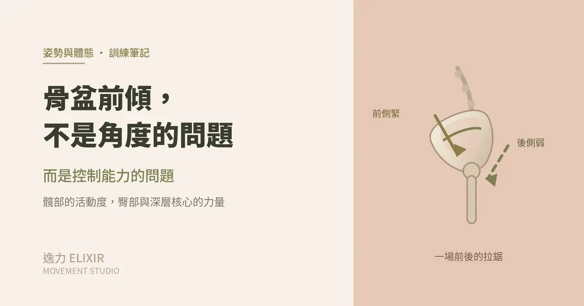 骨盆前傾側視示意圖——髖部前側緊繃與臀部無力形成的前後拉鋸